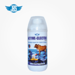 ACTIVE ELECTRO - Image 2