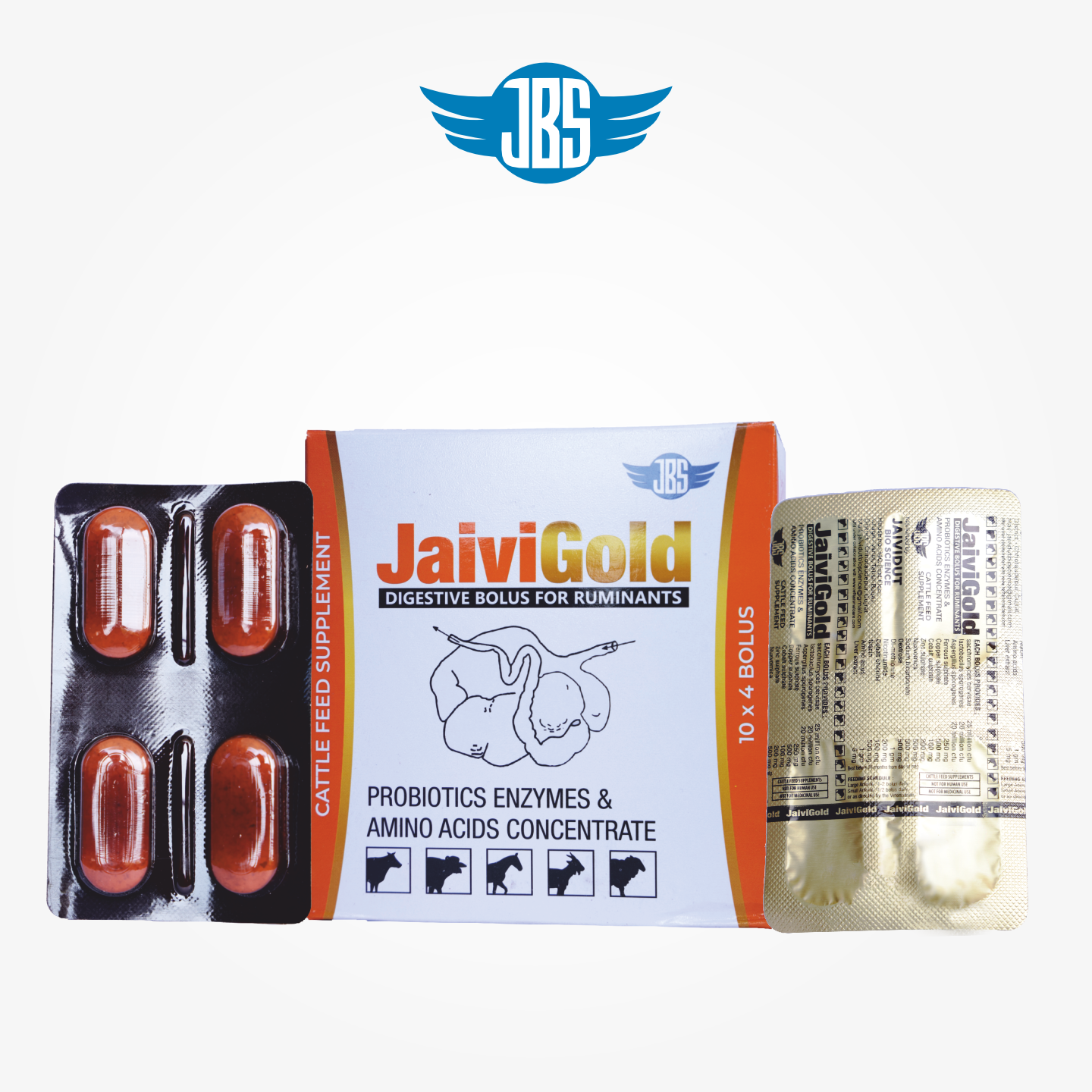 JAIVI GOLD BOLUS JAIVI-GOLD-BOLUS - Image 1
